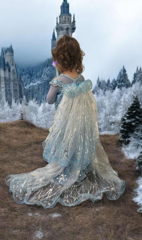 Snowflake Princess, 18-3T - Image 39